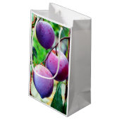 Plum Fruchtgeschenktasche Kleine Geschenktüte (Rückseite Schrägansicht)