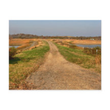 Plum Island Postcard