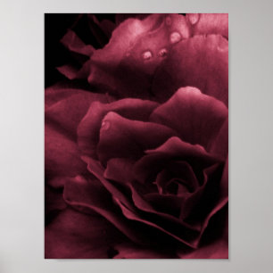 Plum Red Nah Up a Double Begonia Poster