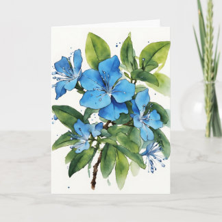 Plumbago Auriculata - Aquarellblumen Karte