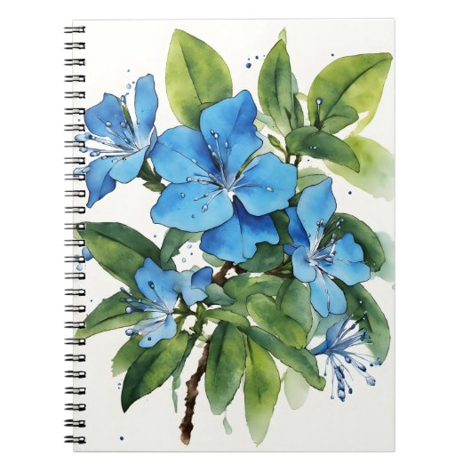 Plumbago Auriculata - Aquarellblumen Notizblock (Vorderseite)
