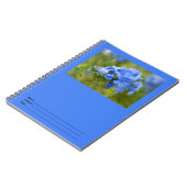 Plumbago - blaues Sommer-Blumen-Bild Notizblock (Linke Seite)