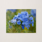 Plumbago - Blue Summer Blume Blumenfotografie Puzzle (Horizontal)
