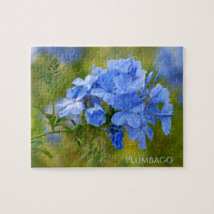Plumbago - Blue Summer Blume Blumenfotografie Puzzle
