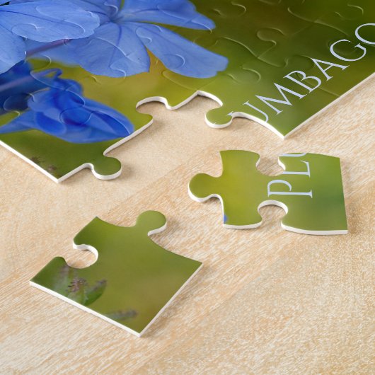 Plumbago - Blue Summer Blume Blumenfotografie Puzzle (Seite)