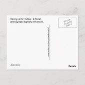 Plumbago - Blue Summer Blume Picture Postkarte (Rückseite)