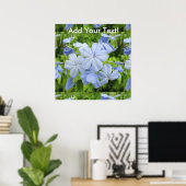 Plumbago Blume Blue Poster (Heimbüro)