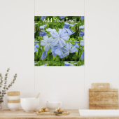 Plumbago Blume Blue Poster (Küche)