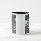 Plume erhebt sich aus dem Vulkan Nyiragongo in der Tasse (Zentrum)