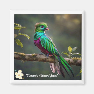 "Plumed Beauty" Magnet