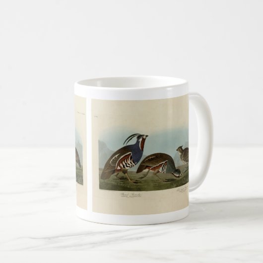 Plumed & Thick-Leged Partridges - Audubons Vögel Kaffeetasse (VorderseiteRechts)