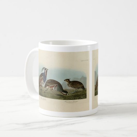 Plumed & Thick-Leged Partridges - Audubons Vögel Kaffeetasse (Vorderseite Links)