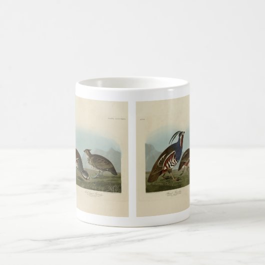 Plumed & Thick-Leged Partridges - Audubons Vögel Kaffeetasse (Mittel)