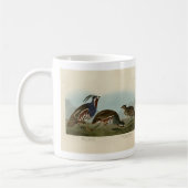 Plumed & Thick-Leged Partridges - Audubons Vögel Kaffeetasse (Links)