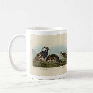 Plumed & Thick-Leged Partridges - Audubons Vögel Kaffeetasse