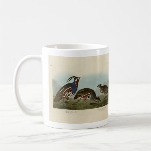 Plumed & Thick-Leged Partridges - Audubons Vögel Kaffeetasse (Links)