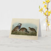 Plumed & Thick-Leged Partridges - Audubons Vögel Karte (Gelbe Blume)