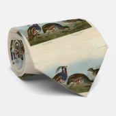 Plumed & Thick-Leged Partridges - Audubons Vögel Krawatte (Gerollt)