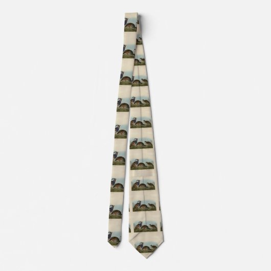 Plumed & Thick-Leged Partridges - Audubons Vögel Krawatte (Rückseite)