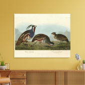 Plumed & Thick-Leged Partridges - Audubons Vögel Leinwanddruck (Insitu (Wohnzimmer))