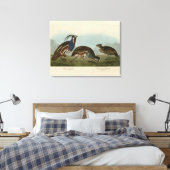 Plumed & Thick-Leged Partridges - Audubons Vögel Leinwanddruck (Insitu (Schlafzimmer))