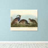 Plumed & Thick-Leged Partridges - Audubons Vögel Leinwanddruck (Insitu (Holzboden))