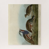 Plumed & Thick-Leged Partridges - Audubons Vögel Puzzle (Vertikal)