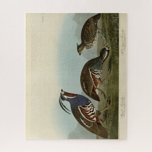 Plumed & Thick-Leged Partridges - Audubons Vögel Puzzle (Vertikal)