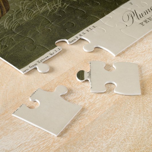 Plumed & Thick-Leged Partridges - Audubons Vögel Puzzle (Seite)