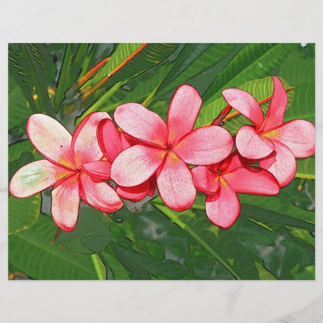 Plumeria (Vorderseite)