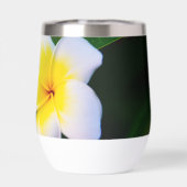 Plumeria (Rückseite)