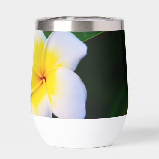 Plumeria (Rückseite)