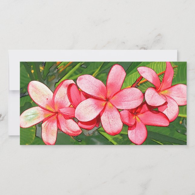 Plumeria (Vorderseite)