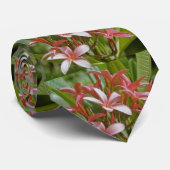 Plumeria acuminata Blumen Krawatte (Gerollt)