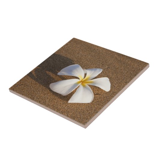 Plumeria am Sandstrand, Maui, Hawaii, USA Fliese (Seite)