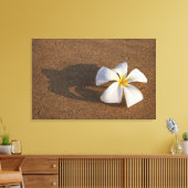 Plumeria am Sandstrand, Maui, Hawaii, USA Leinwanddruck (Insitu (Wohnzimmer))
