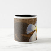 Plumeria am Sandstrand, Maui, Hawaii, USA Zweifarbige Tasse (Mittel)
