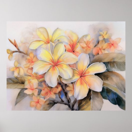 Plumeria and Muschel Ginger Poster (Vorne)