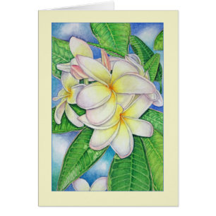 Plumeria-Aquarell