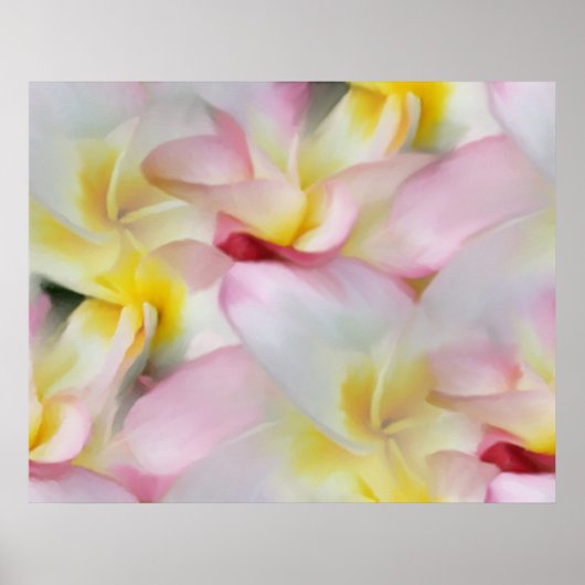 Plumeria Aquarelldruck Poster (Vorne)