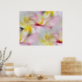 Plumeria Aquarelldruck Poster (Küche)