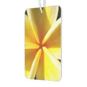Plumeria Autolufterfrischer (Links)