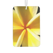 Plumeria Autolufterfrischer (Rückseite)