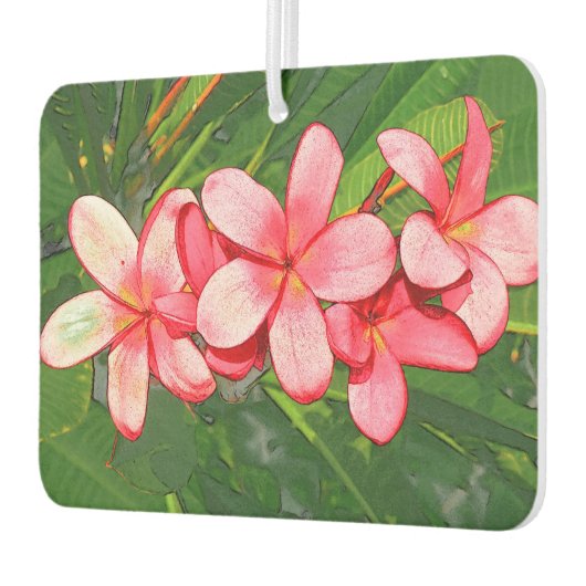 Plumeria Autolufterfrischer (Links)