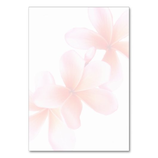 Plumeria Beach Gäste Name Klappende Platzkarten Tischnummer (Rückseite)