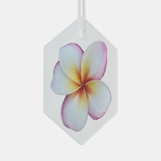 Plumeria Bloom Glass Ornament (Vorderseite Rechts)
