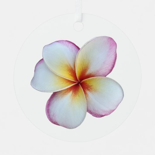 Plumeria Bloom Metal Ornament Aus Metall (Vorderseite)