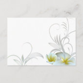 Plumeria Blüh Empfang Vernissage Begleitkarte (Rückseite)