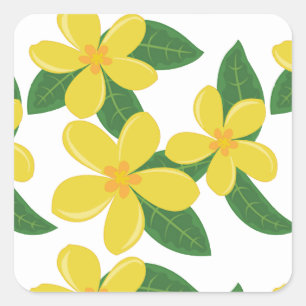 Plumeria blüht gelb auf WEISS Quadratischer Aufkleber