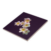 Plumeria blüht im Dunkeln lila Fliese (Seite)